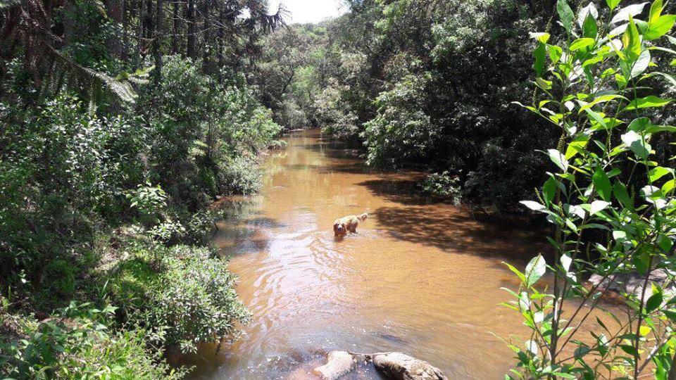 Pousada Chales Da Lua Munhoz Exterior foto